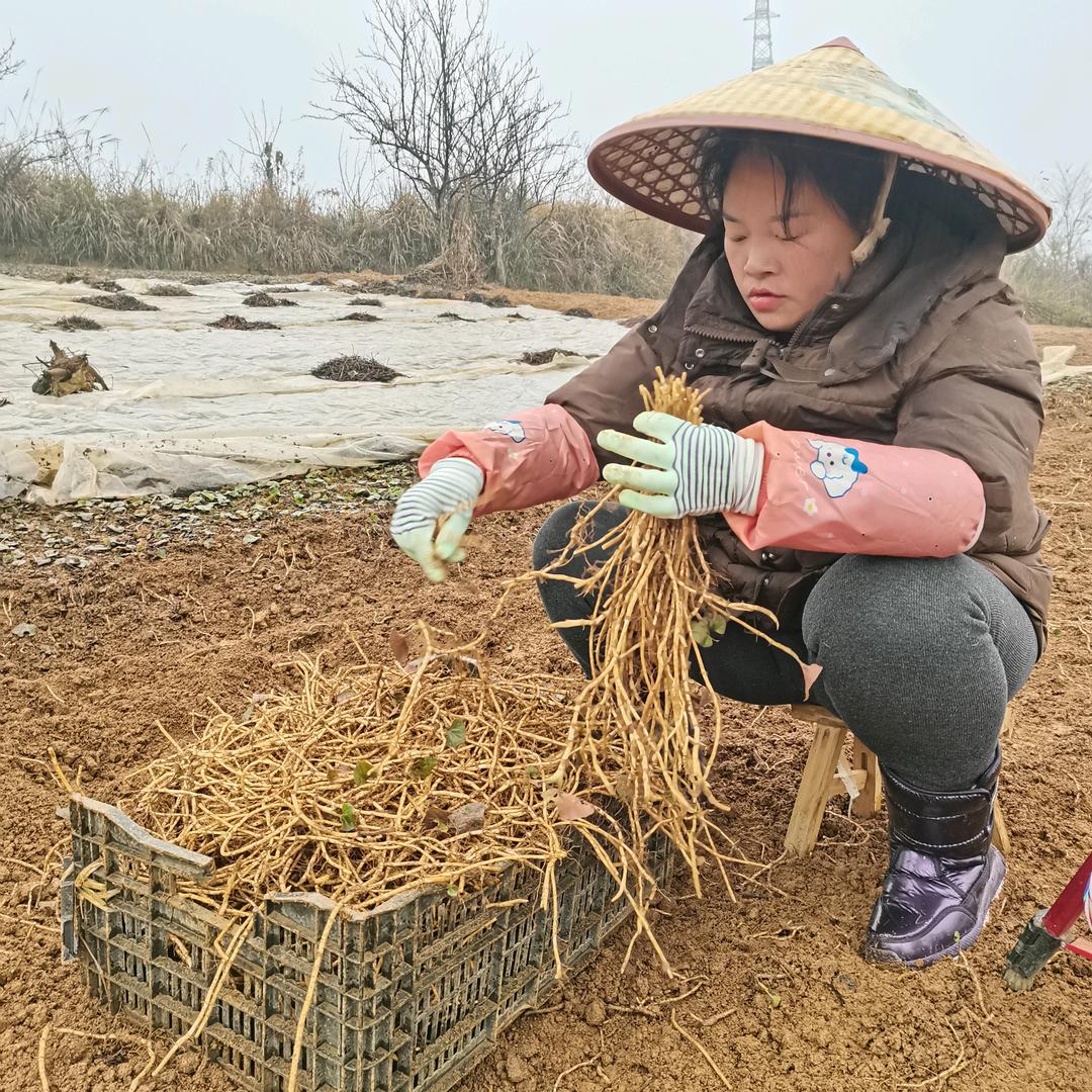 俩头牛生鲜
