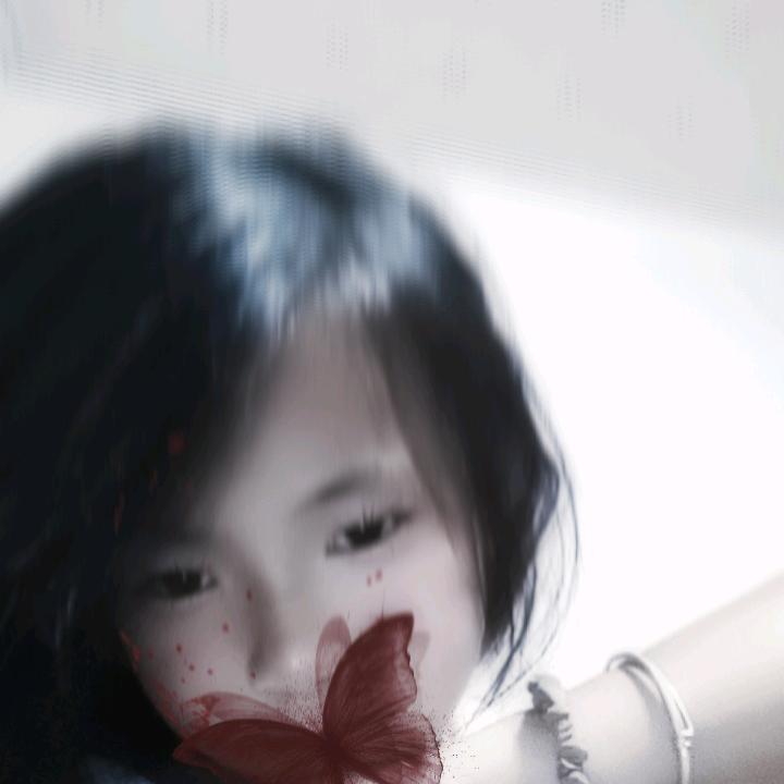 陈二洋红薯粉和红薯粉丝。