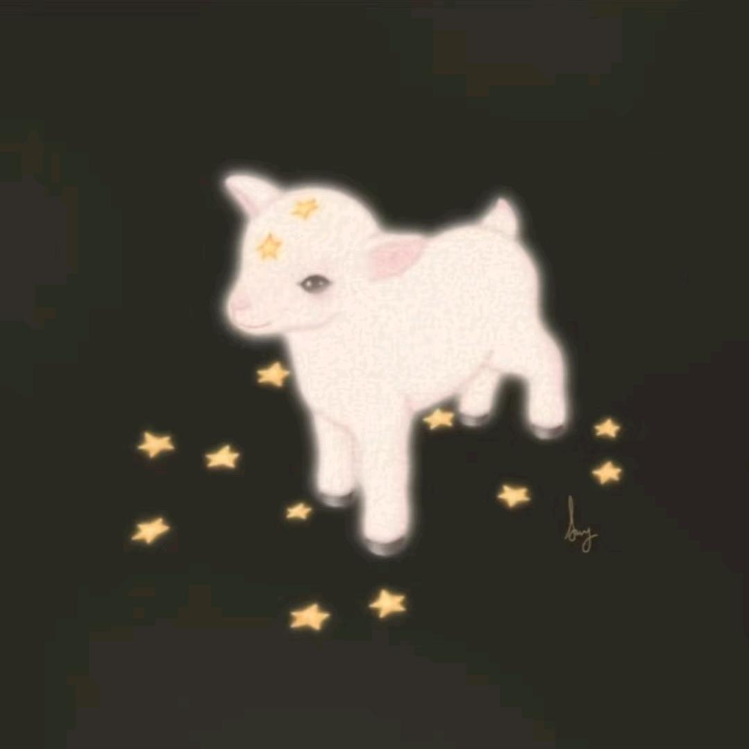 绵绵小羊