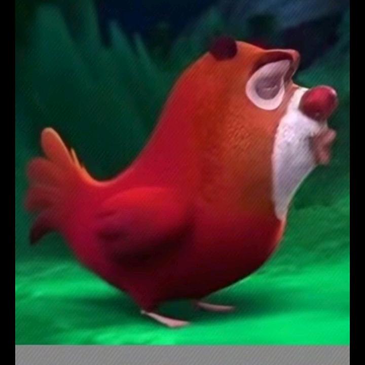 bq