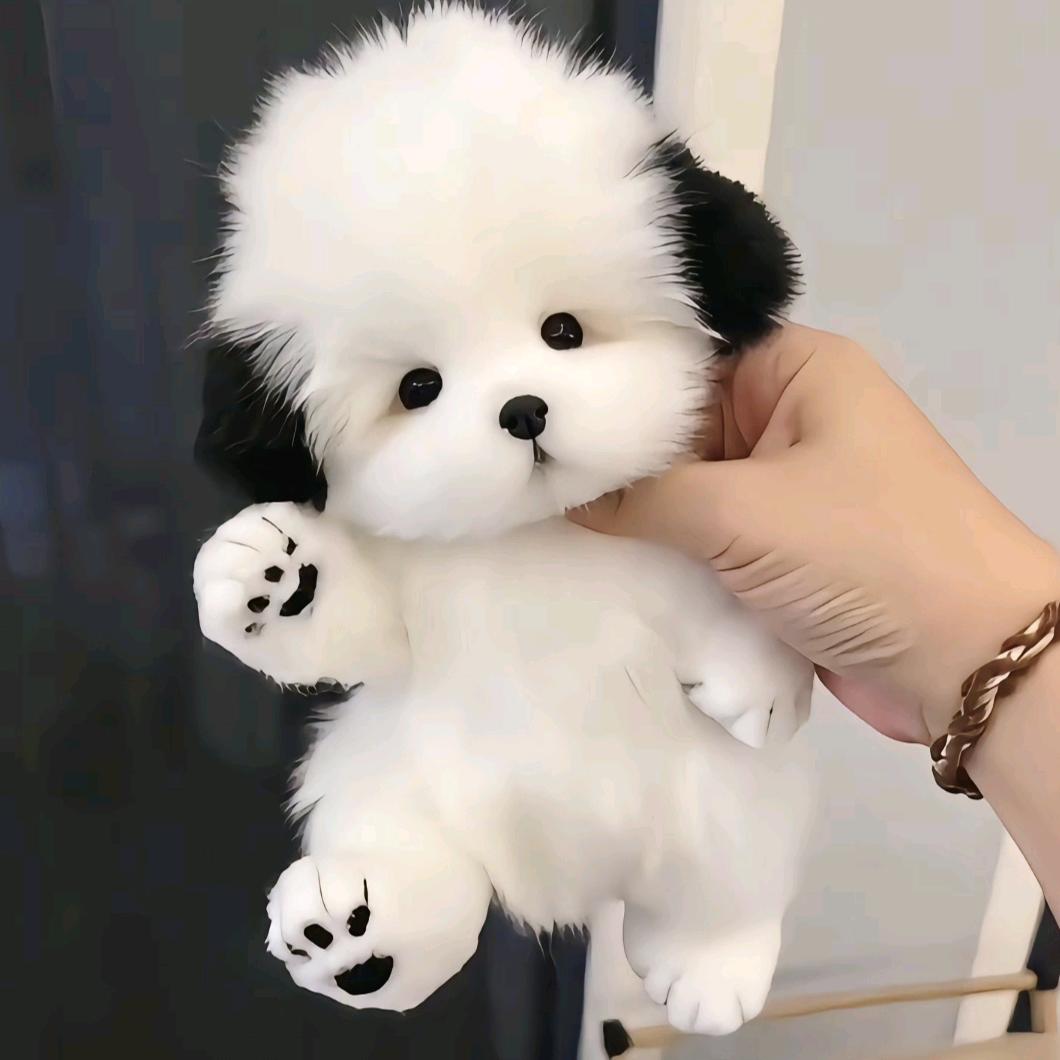 学长爱探店