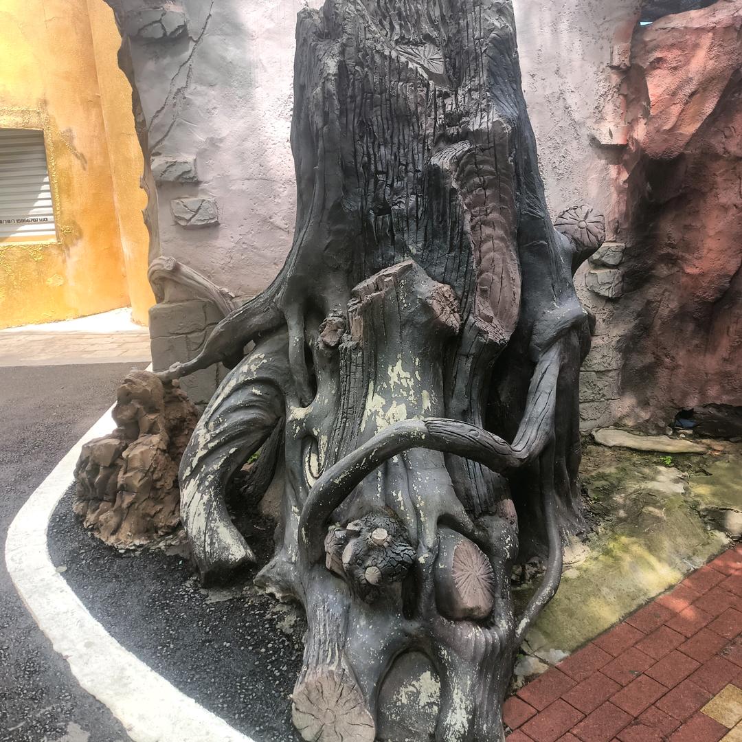 会飞的鸡