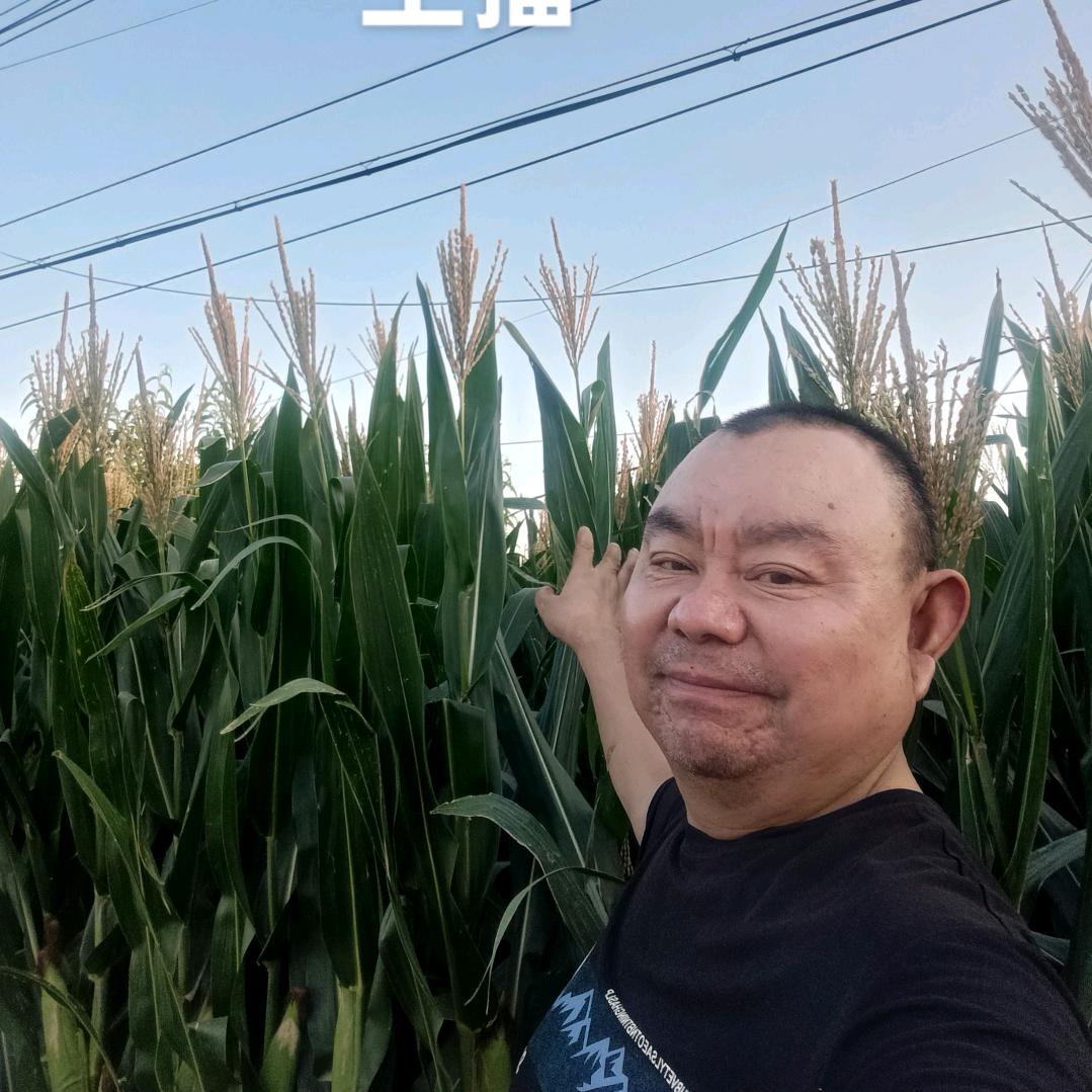 山东潇洒哥》《晚9点10》金牌导师