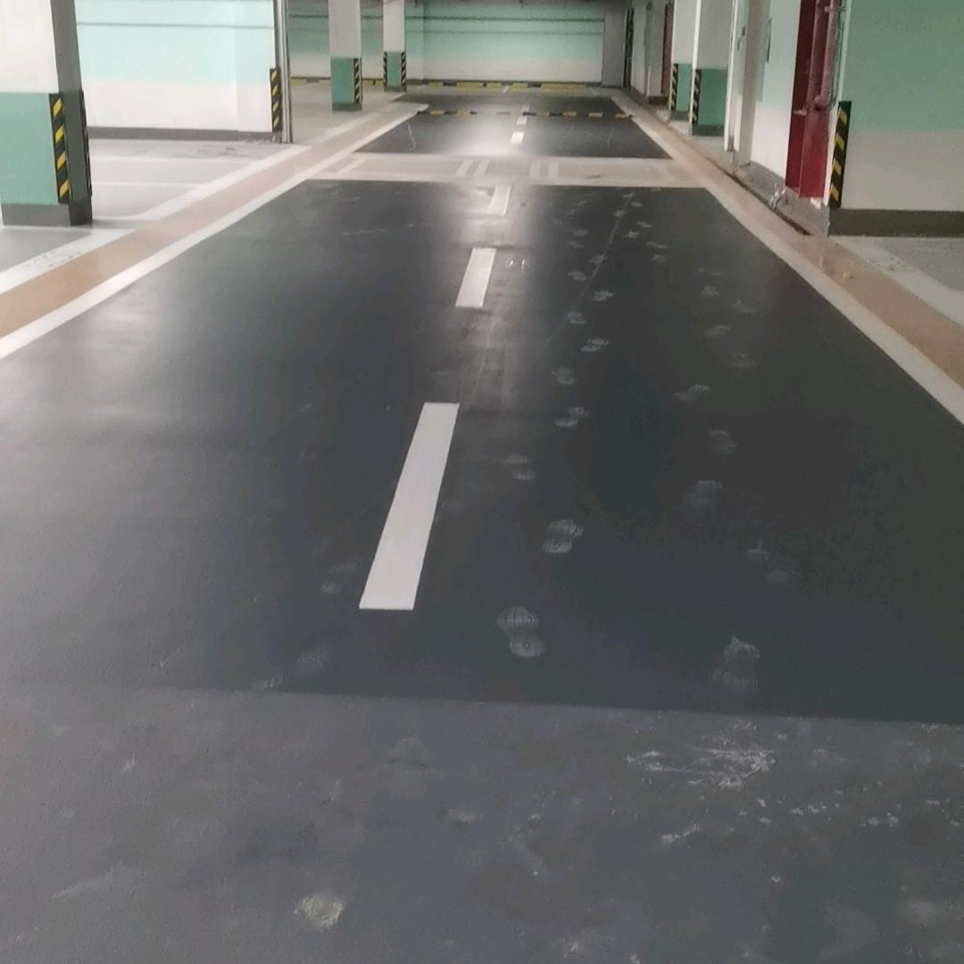 孤狼归影