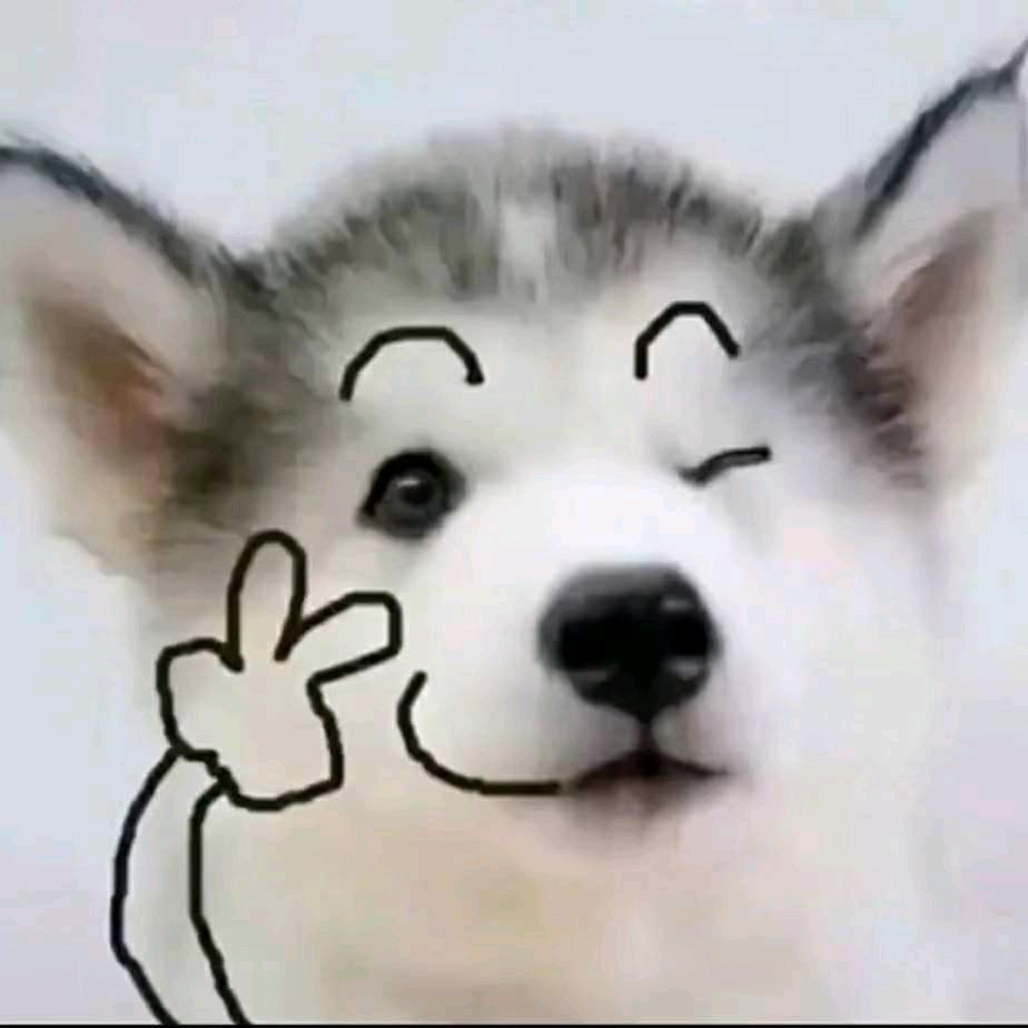 桀桀桀桀