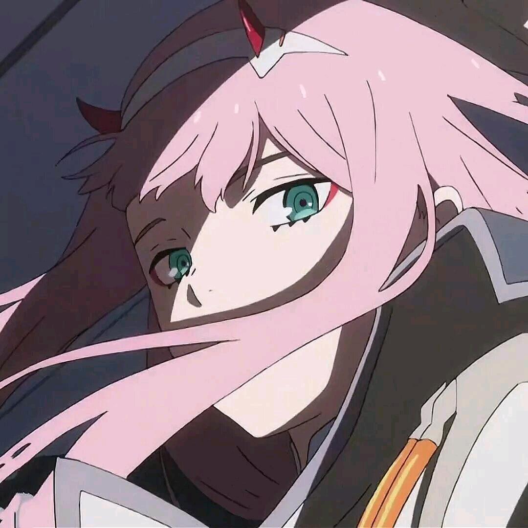 我永远喜欢zerotwo
