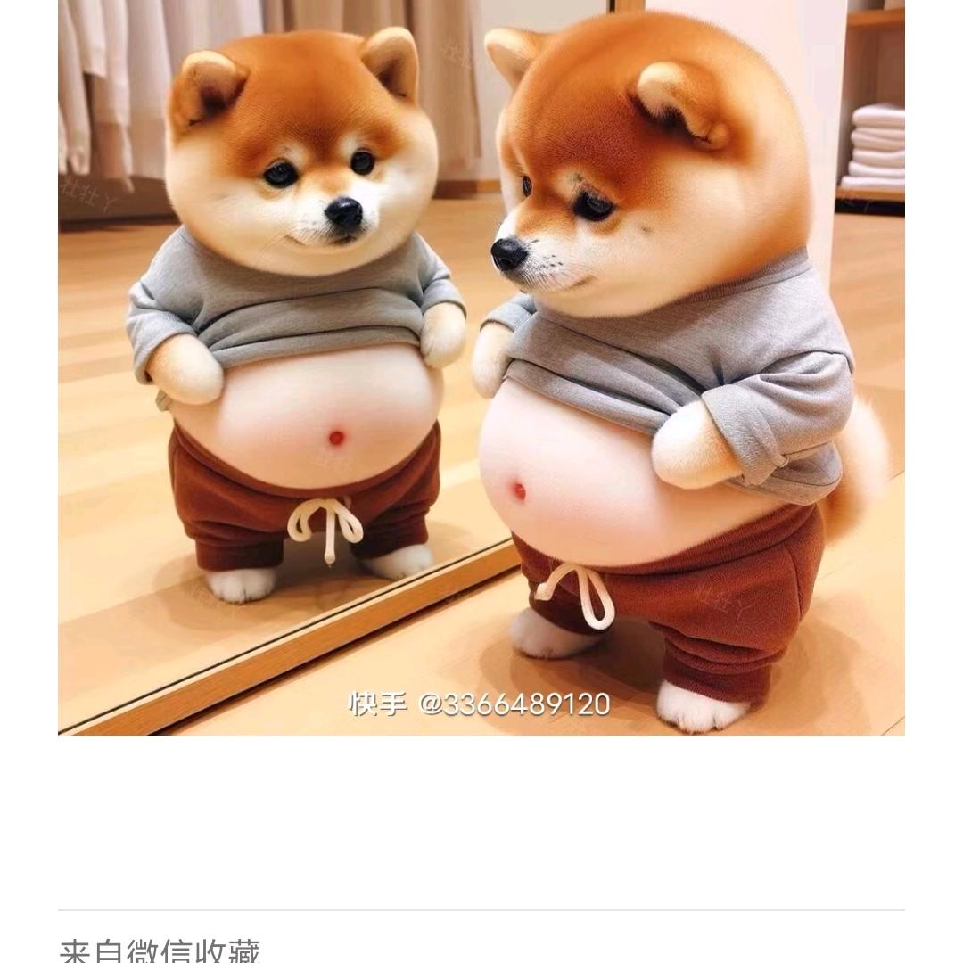 忘记过去从头在来！