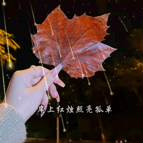 এº᭄乂💞 氼༊ ړ💞