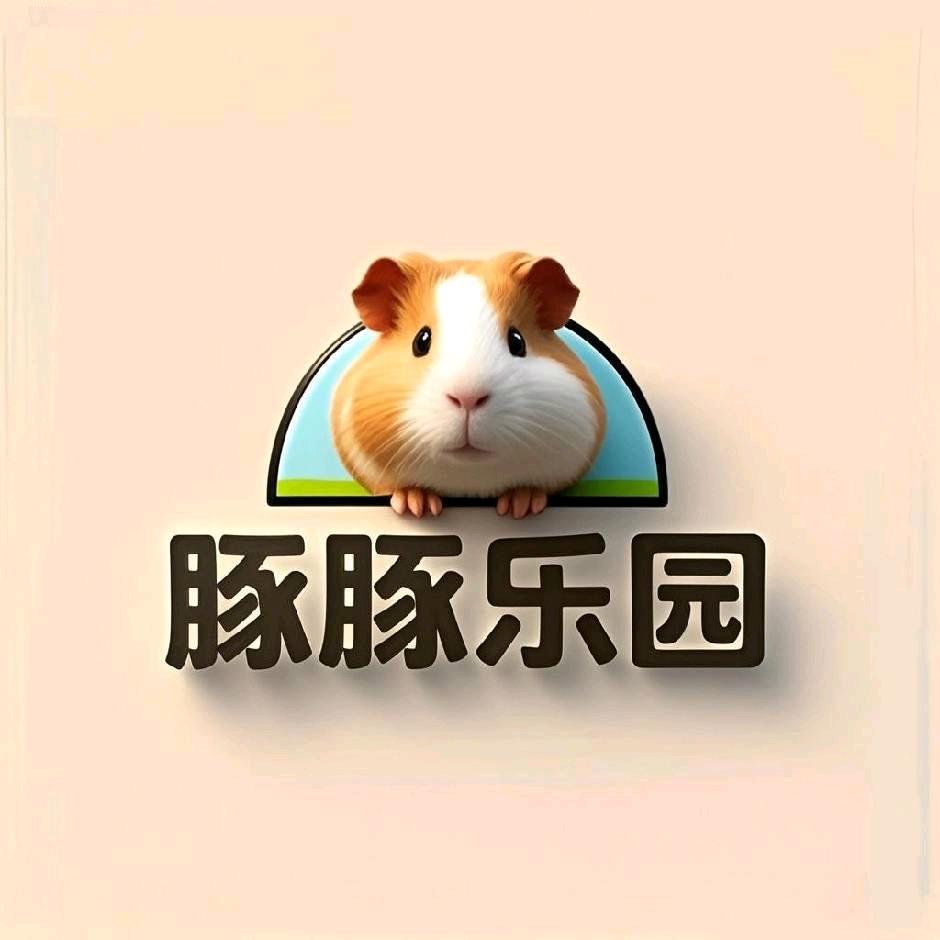 🍀豚豚乐园（WX下单）直播不报价