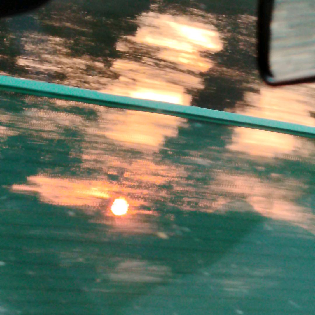 缓缓飘落的枫叶🍁🍁