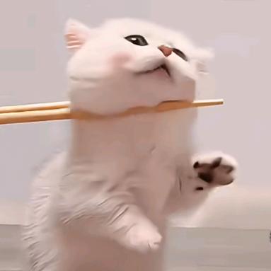 好，借过