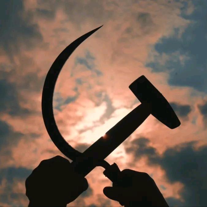 今晚打老虎🐯🐯