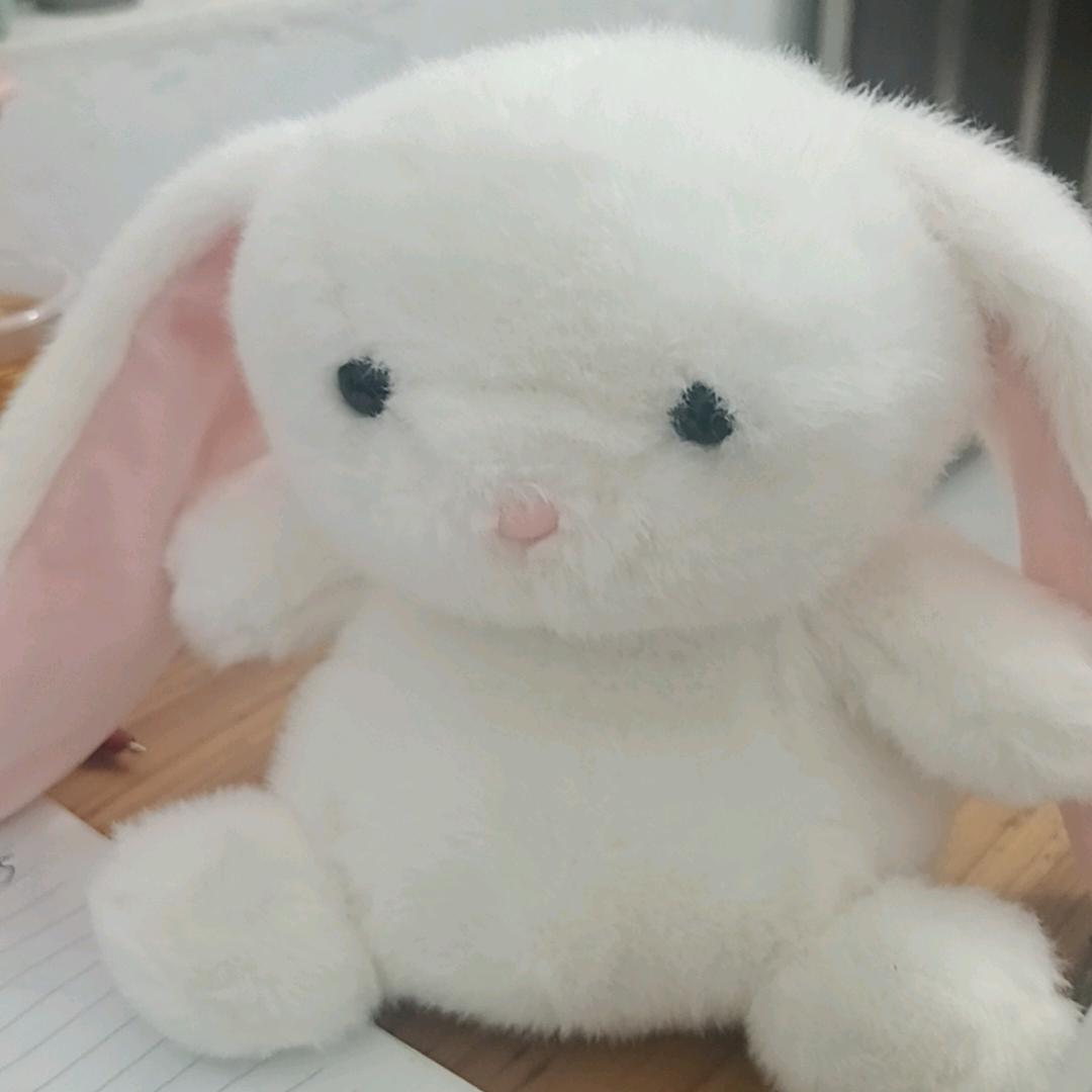 开心妹