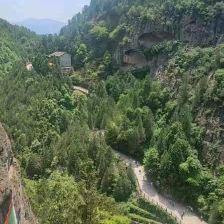 九龙山大盘烧土鸡