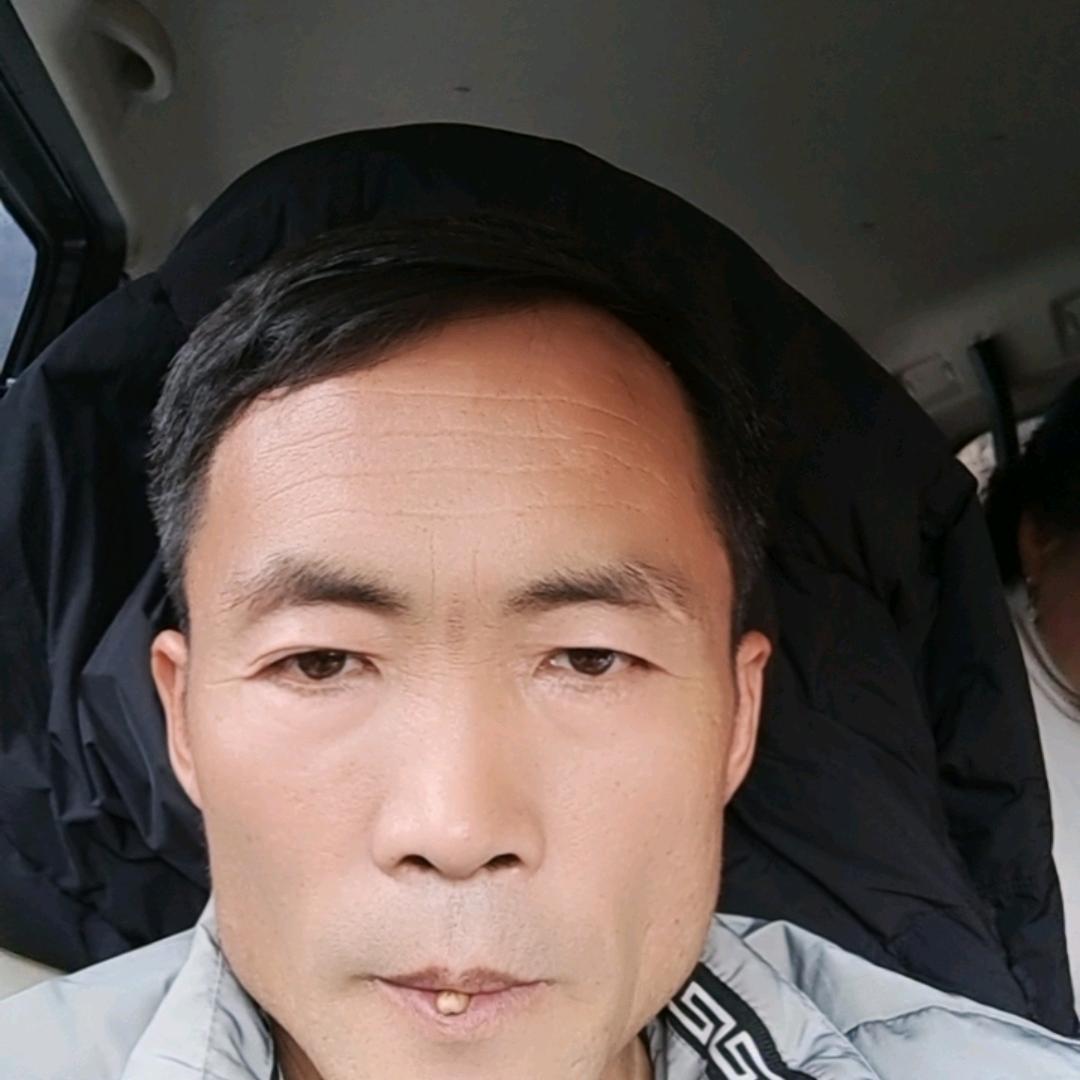真心实意