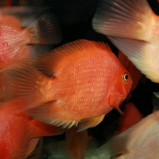 🌈时间别了年华