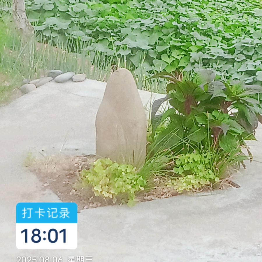 用户1314521静水流深
