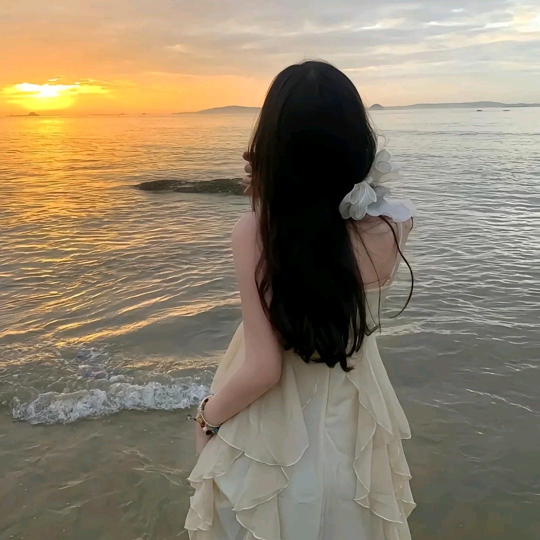 心宝