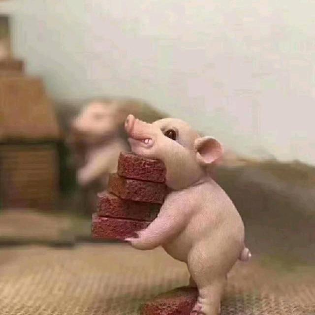 小强