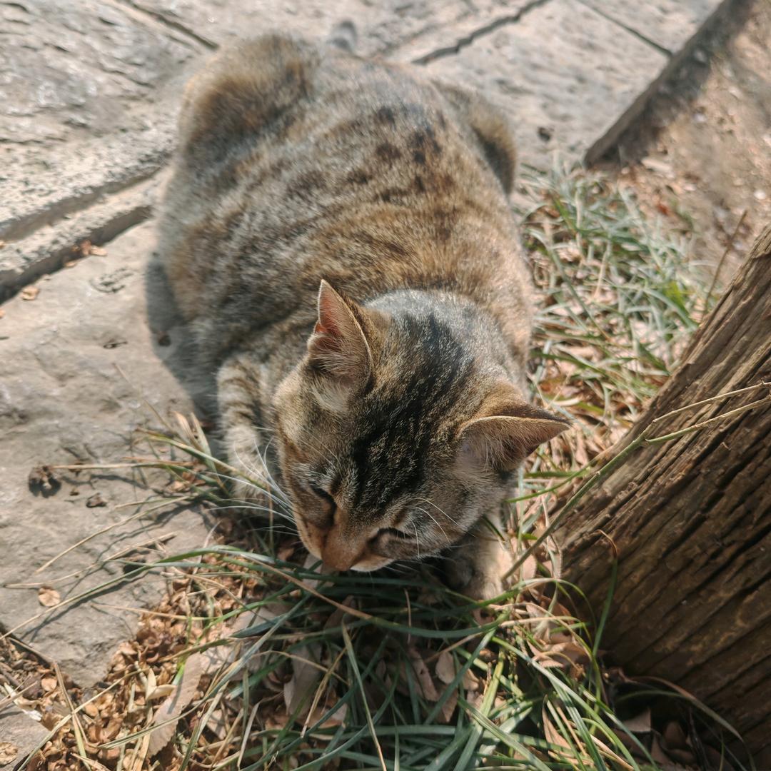 不能错过的风景