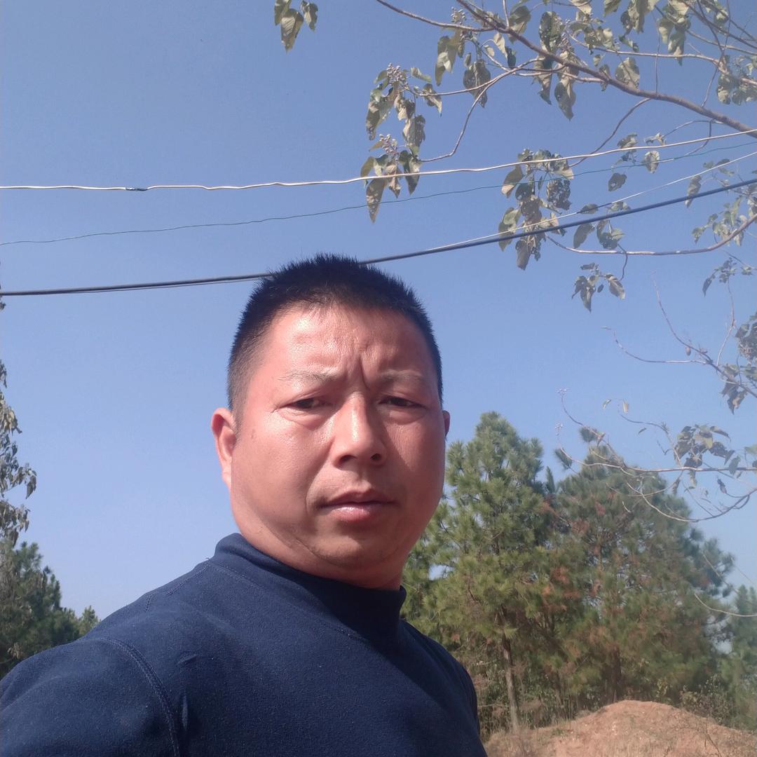 龙哥情感正能量！