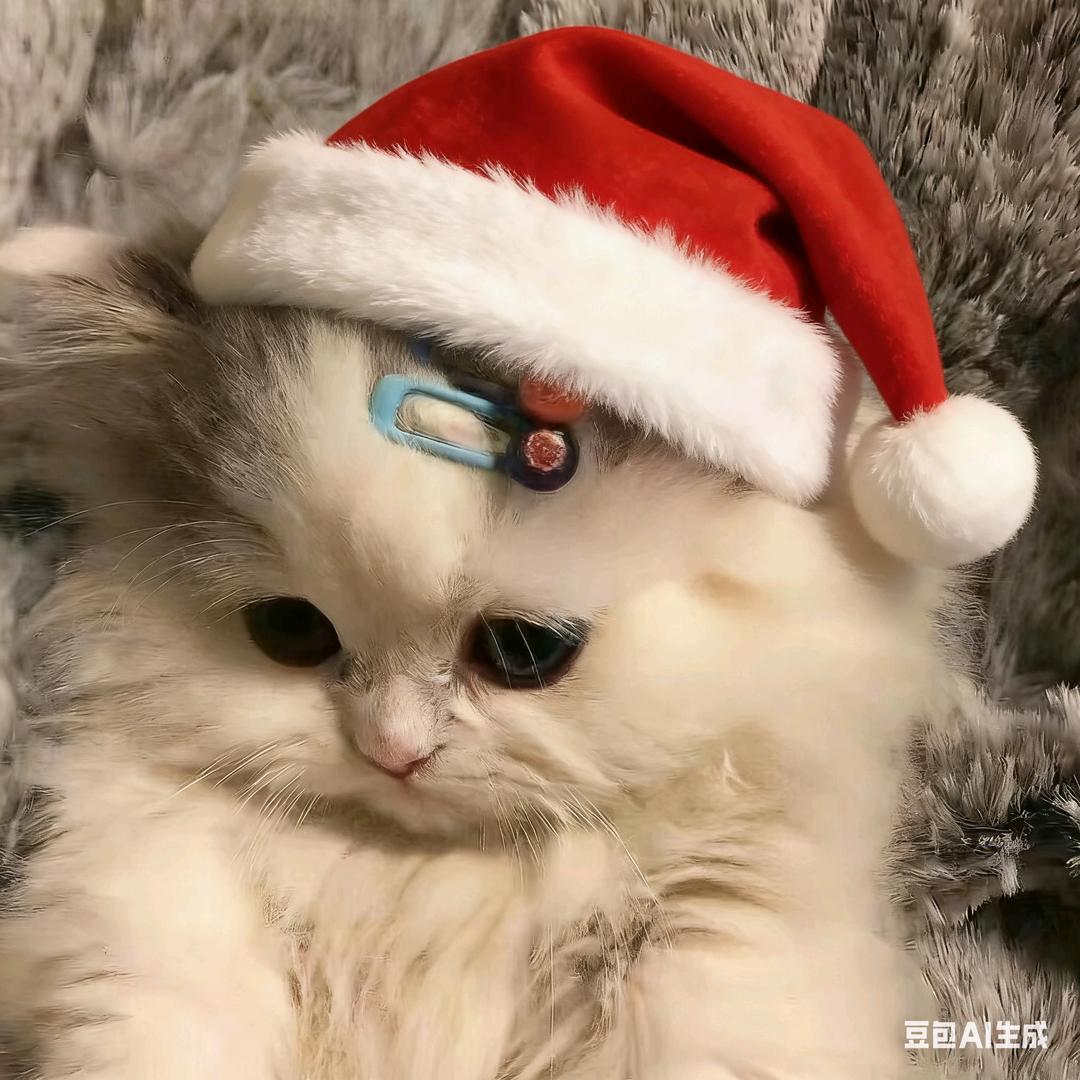 雪遇万物皆可生🧊《小猫大王版》🐰