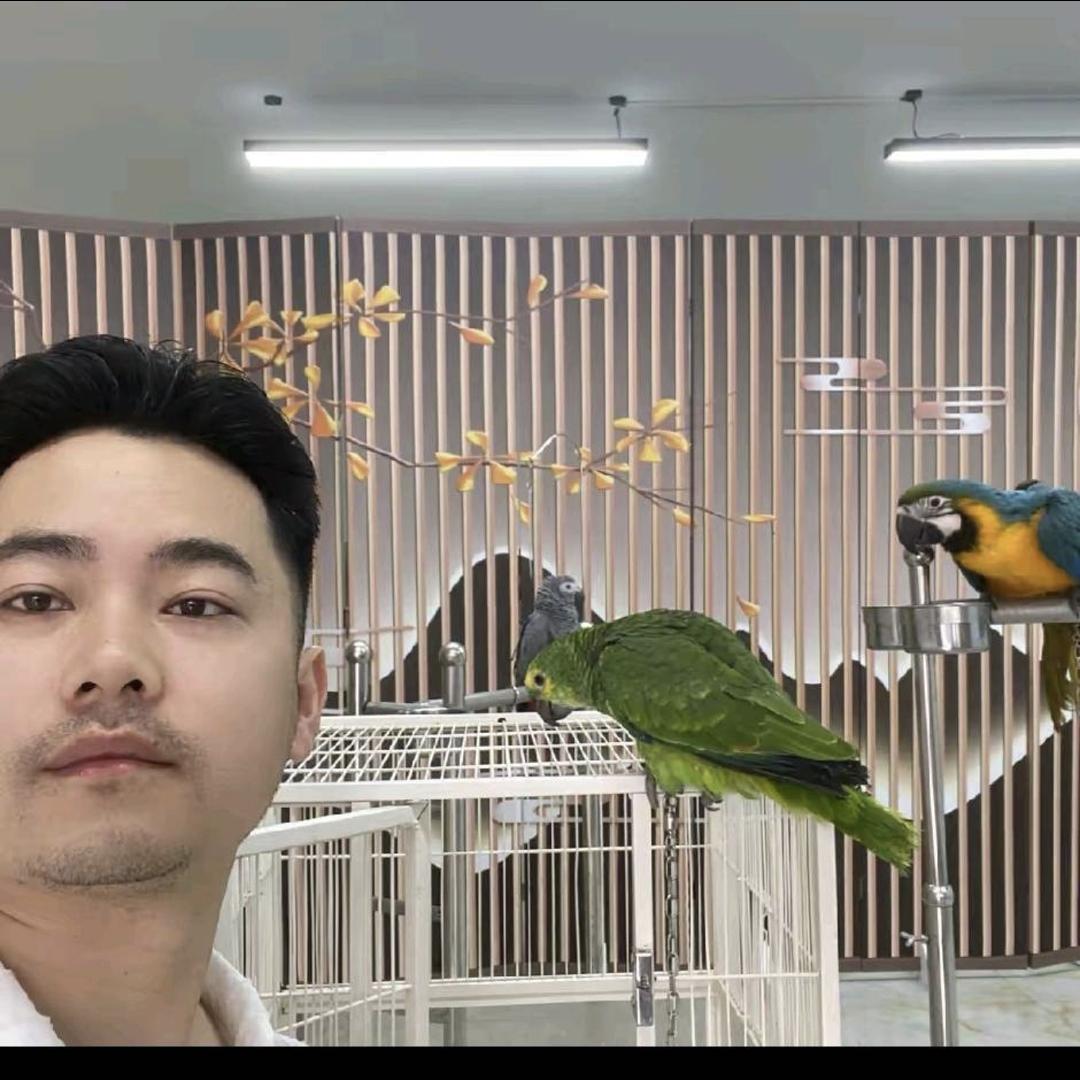 一介鸟人何何
