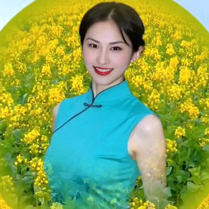 锦鲤乐