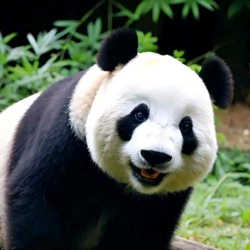 嫁给爱情的公主👸🏻