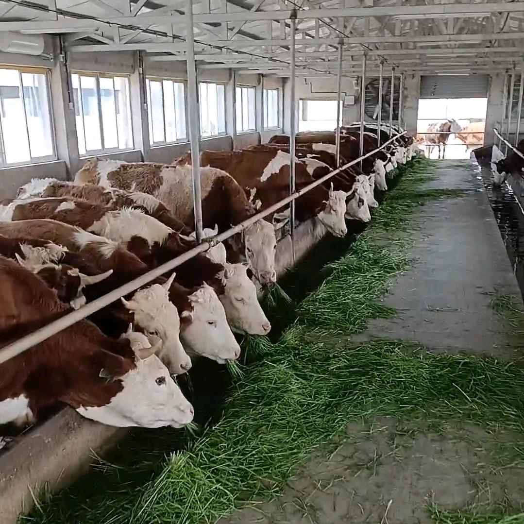 怀远陈园畜牧养殖有限公司