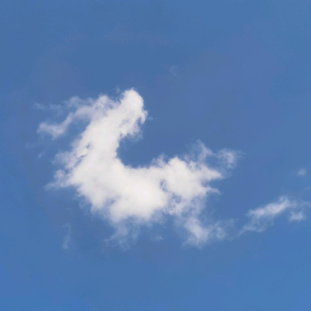 九