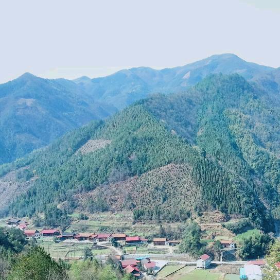 江湖过客