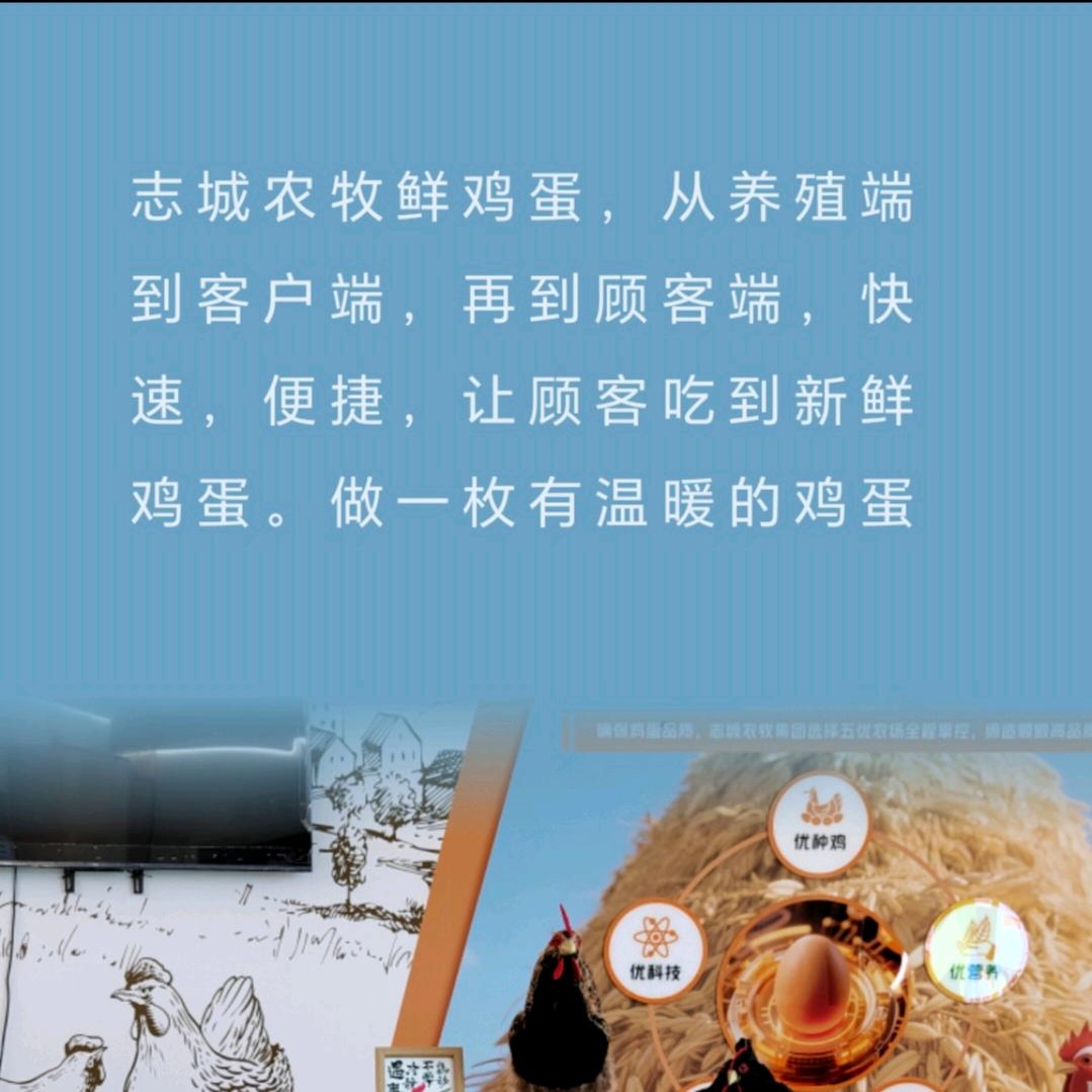 志城农牧鲜鸡蛋