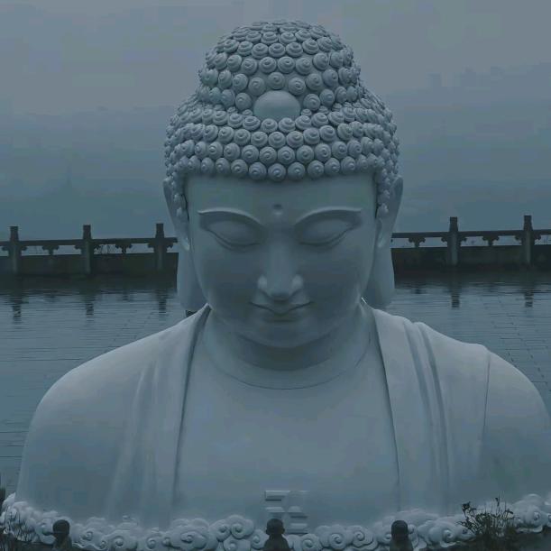 罐罐爱喝拿铁（N）...🐇⁵²⁷⁷