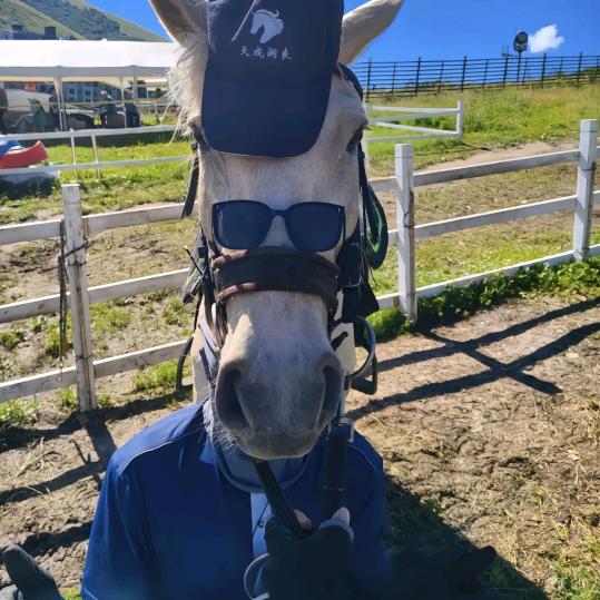 睡醒就是鸡窝头