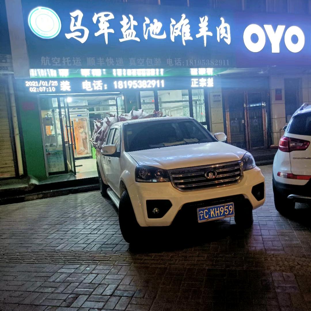 盐池羔羊