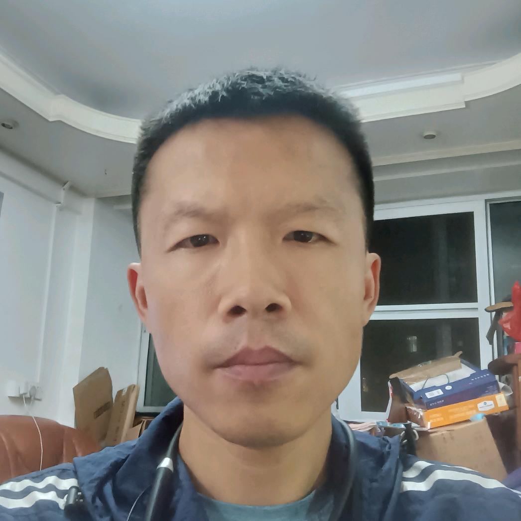 罗宾AI绘画