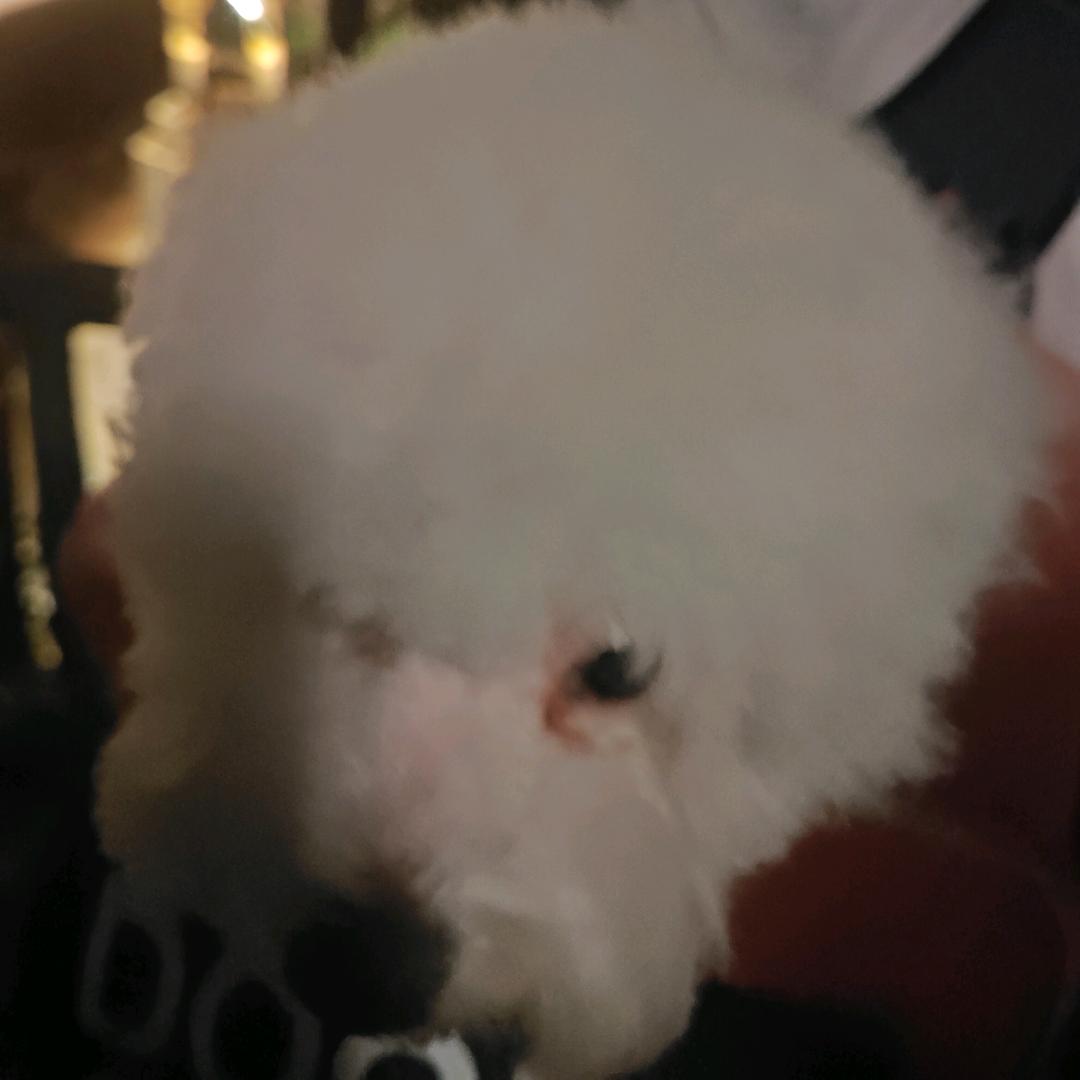 坚持到彩虹出现的那一天