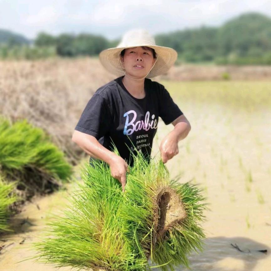 连州骏宇农业88