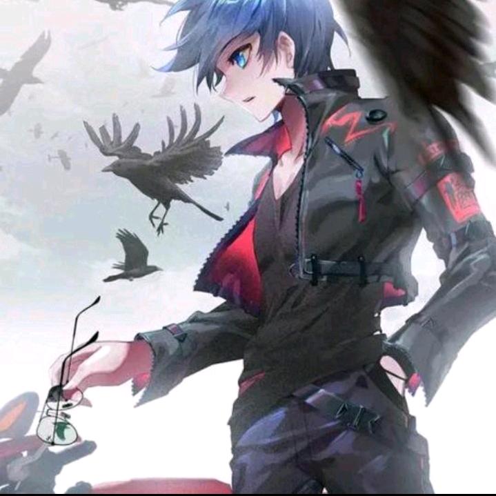 💫【小二哥】