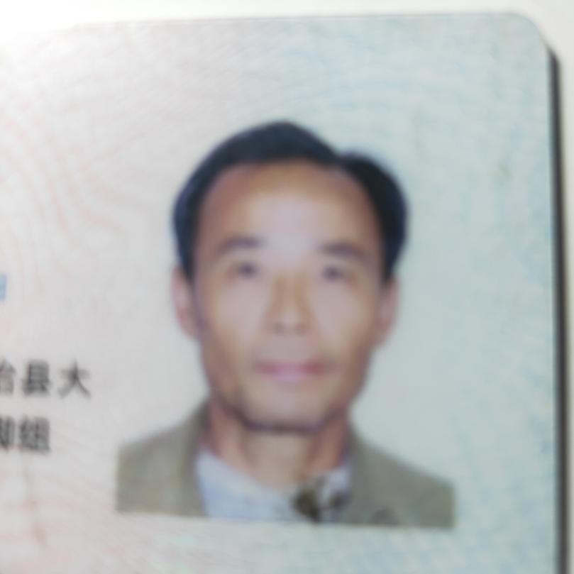 今世缘