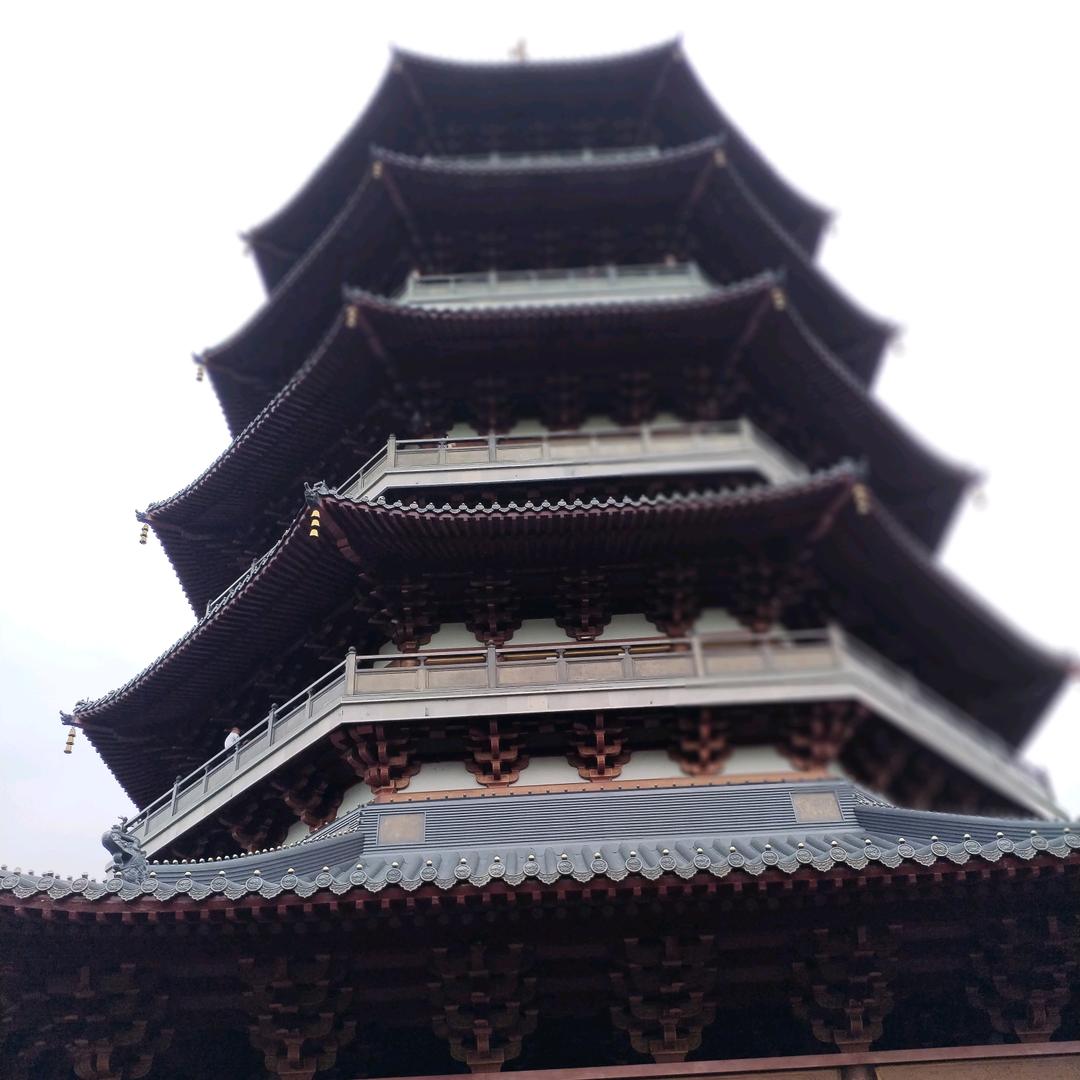 一起看世界吧！