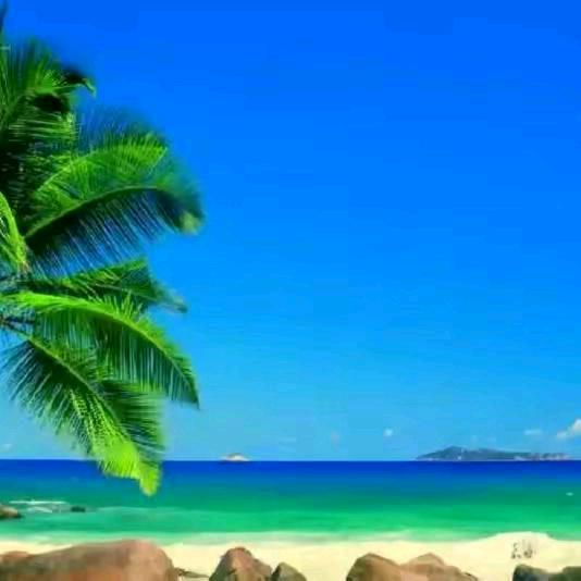 化风行万里🌺🌺🌺🌺🌺