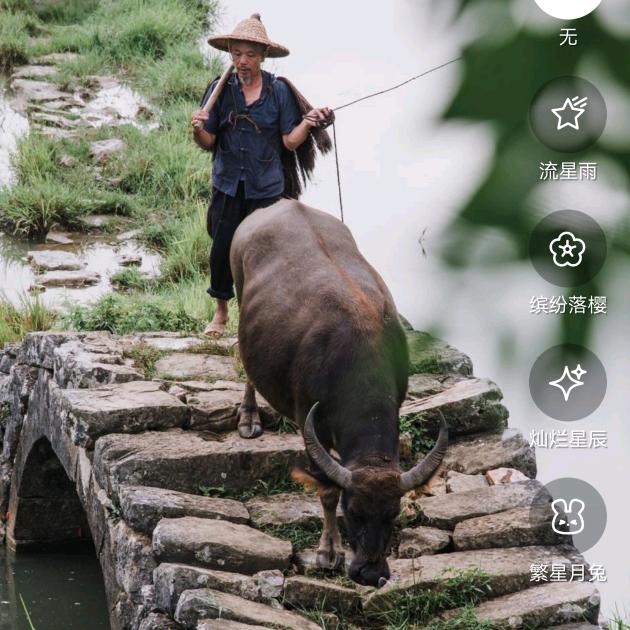 路和树