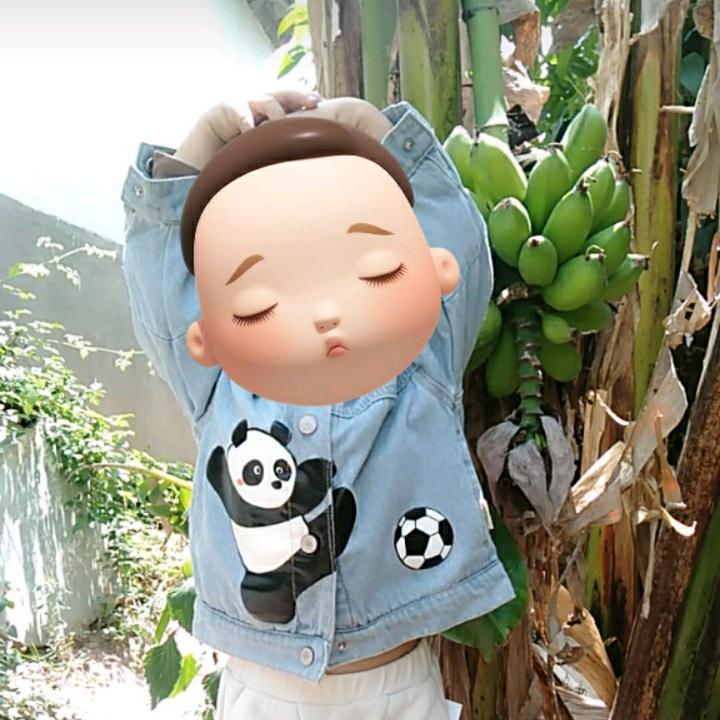 多米幼儿启蒙