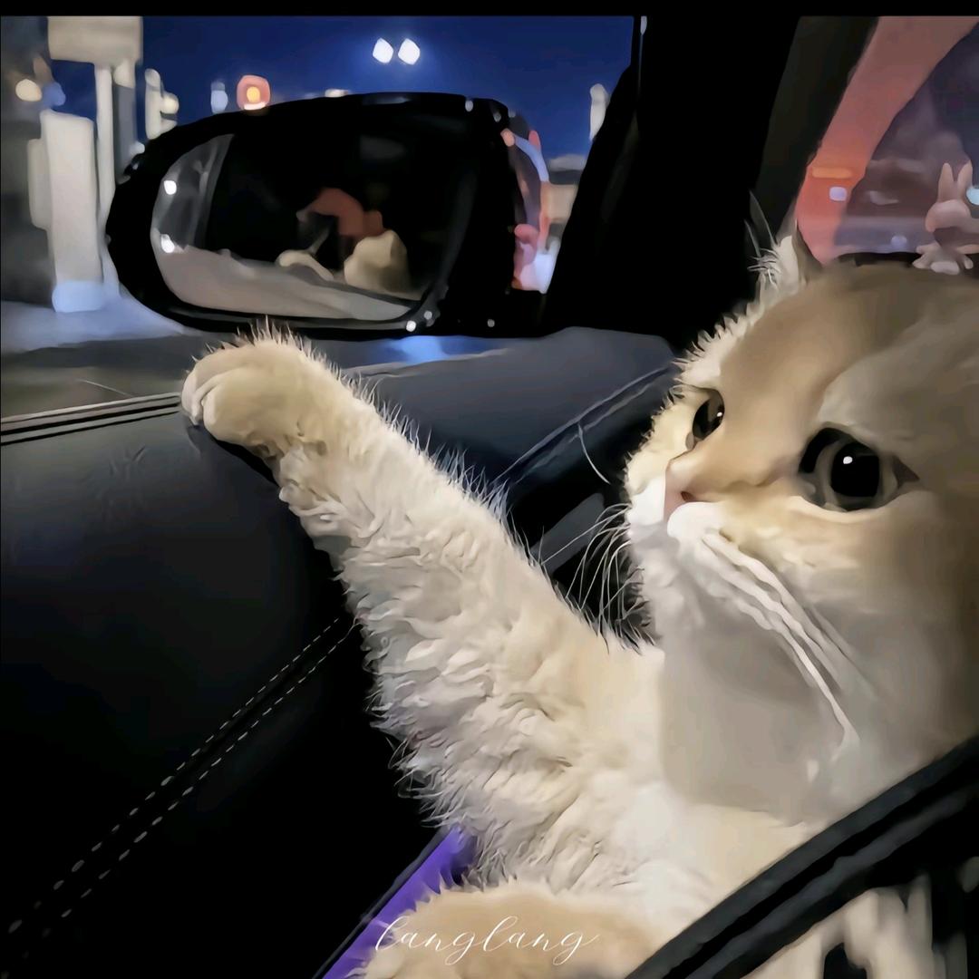 风信子