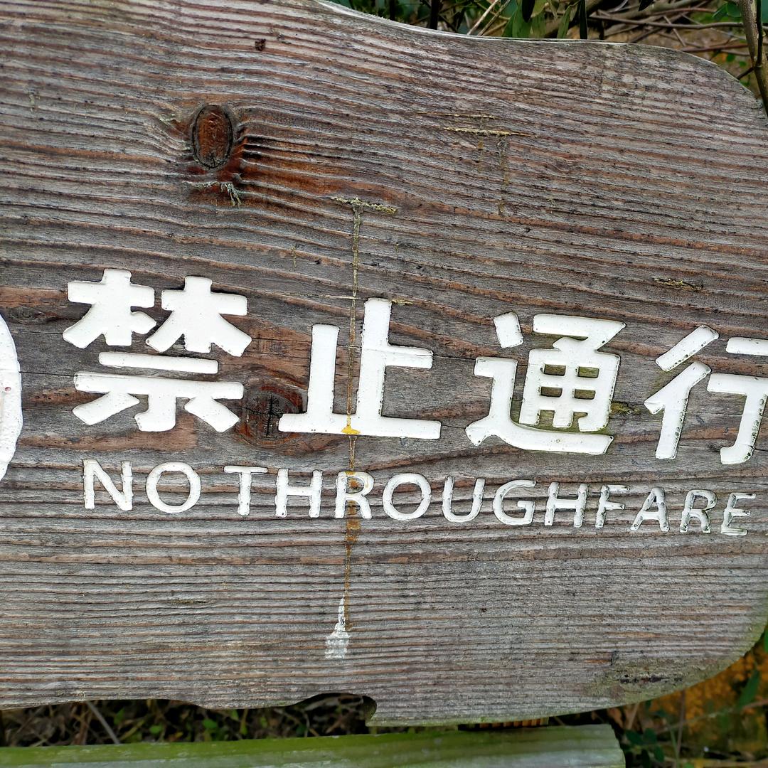 春姐