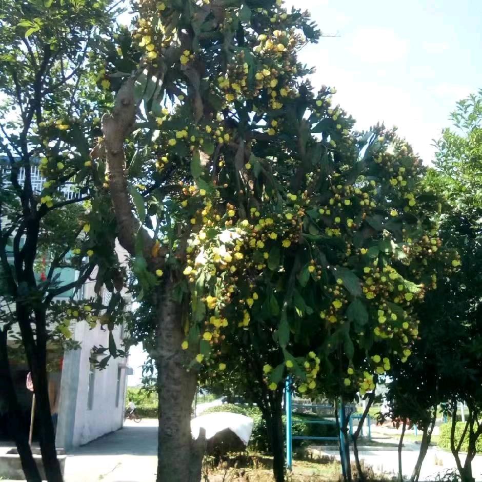 宏财