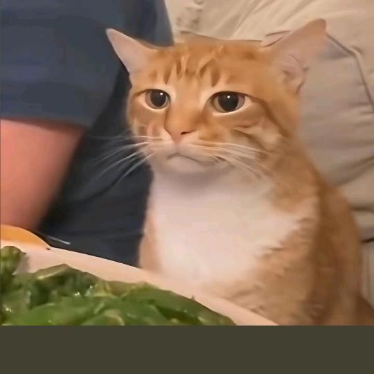 哈啰学车—邓教练🚘