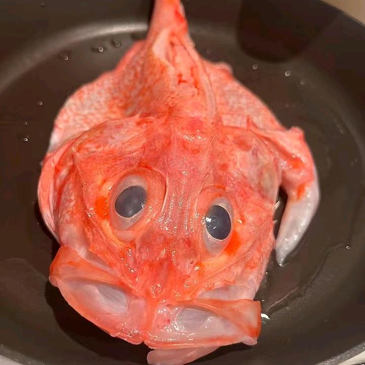 何老弟